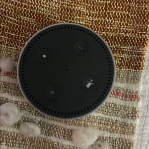 Echo Dot with charger